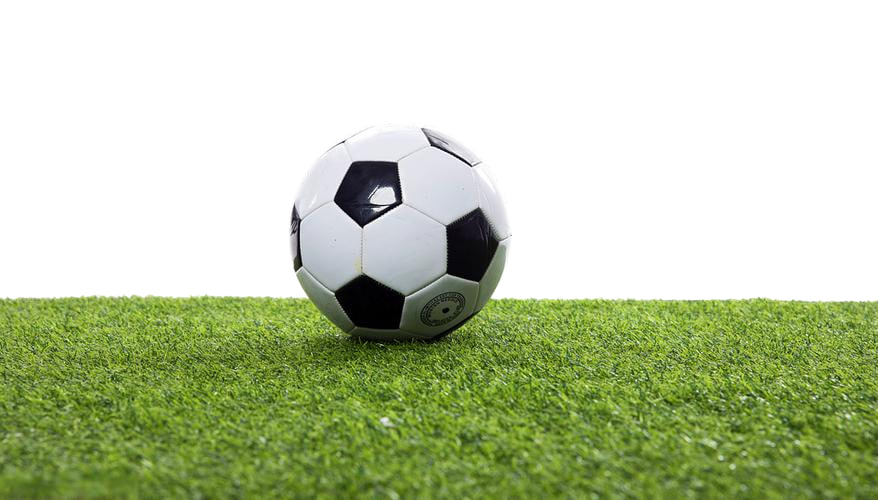 体育爱好者学习交流